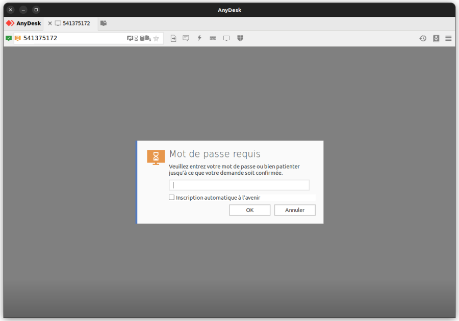 anydesk_mot_de_passe.png